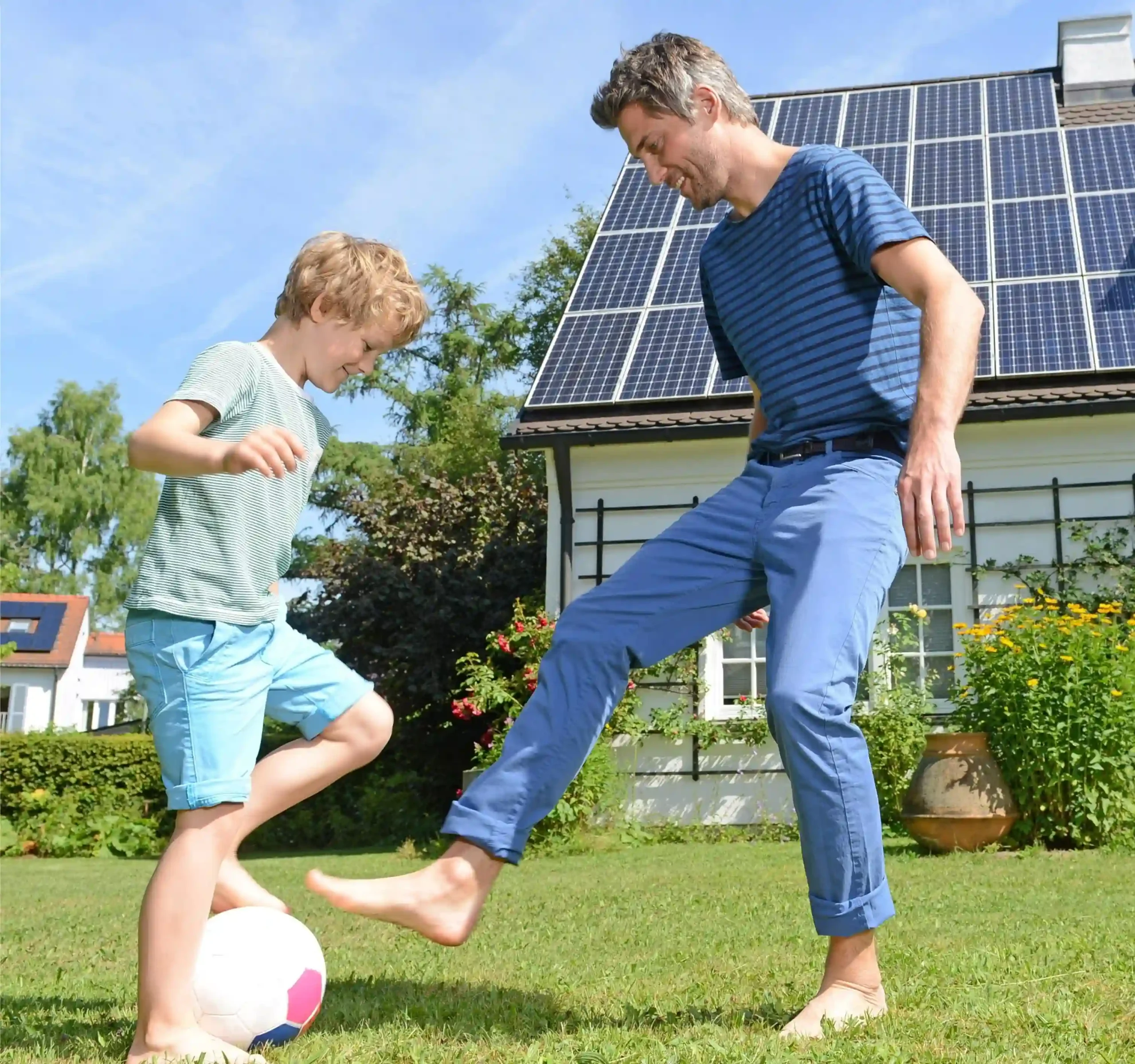LuxpowerTek Homeowner solar energy graphic