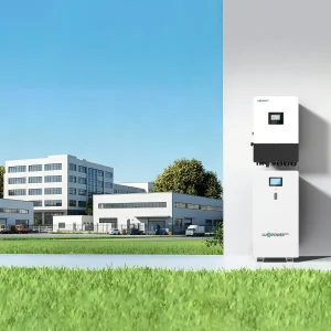 Negozio di applicazioni per inverter trifase ibrido Luxpower TRIP2-LB-US 6-12K